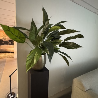 Kunstplant op sokkel Colours&Green, Spathiphyllum